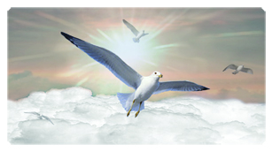 DSC700 101 BZ Journey Home Clouds Birds Bronze